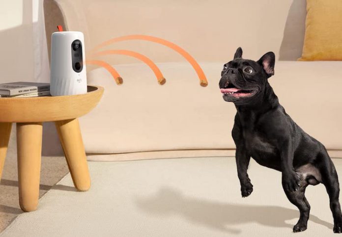 eufy Introduces New Pet Dog Camera With an Early Bird Deal